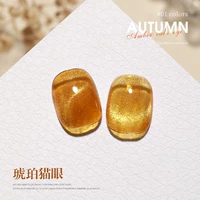 Янтарный плащ кошачий глаз#01