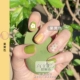 Avocado Green Nail Ba Lan Keo 2019 Cửa hàng Nail mới Dành riêng Net Red Pop Color Matcha Green Nail Ba Lan Keo - Sơn móng tay / Móng tay và móng chân màu móng tay tôn da