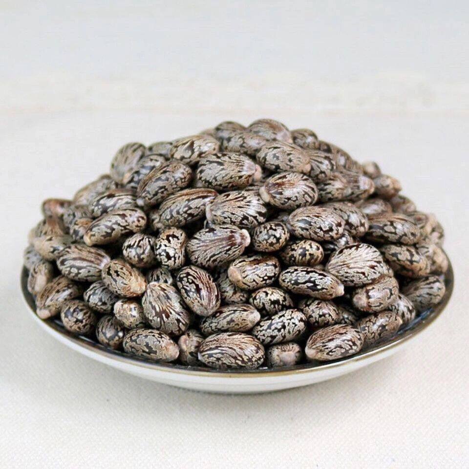 Chinese herbal medicine shop black skin castor bean 50g fresh castor bean kernel Chinese herbal medicine castor seed