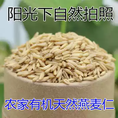 Farmers grow natural oat kernels, whole grains, edible oats, 250g Full germ, high-quality oat rice