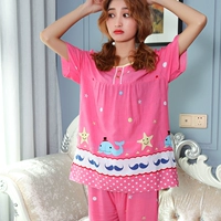 Роза красная звезда кита