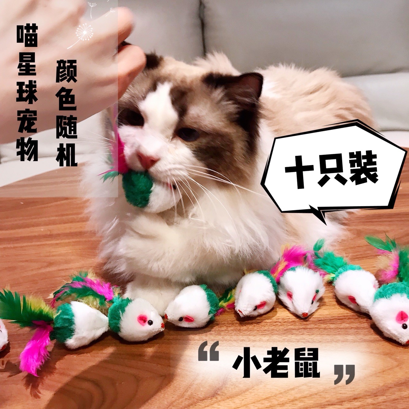 (10pcs)Pet SUPPLIES Cat toys Plush MOUSE Colorful feathers Tease CAT toys Feather mouse