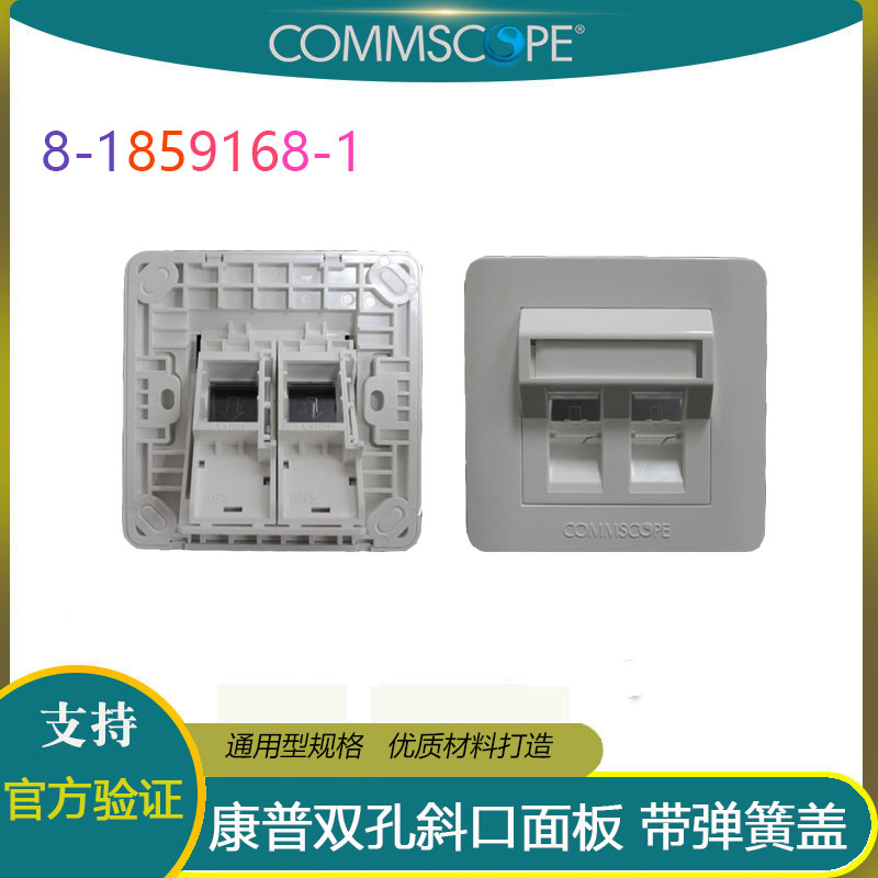 Amp AMP Inform double-mouth double-hole inclined opening panel 8-1859168-1 with spring lid