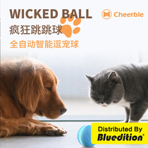 Seven cloth cat toy ball relief artifact cat toy smart automatic charging small dog pet self-hi Electric ball