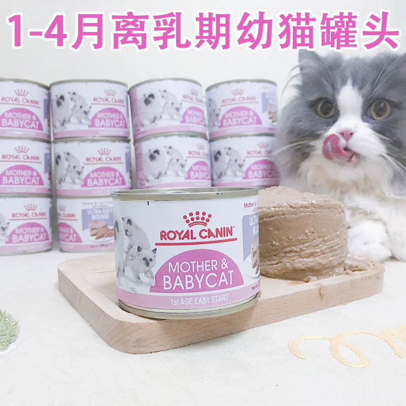 Miễn phí vận chuyển Royal Royal Đóng hộp Royal Kitten Sữa Bánh Mousse Đóng hộp Mang thai Vật nuôi Đồ ăn nhẹ Đồ ăn ướt 195g * 12 - Đồ ăn nhẹ cho mèo