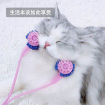 Pet cat dog dog double wheel massager Japan imported toy supplies head Full Body SPA enjoy MASSAGE