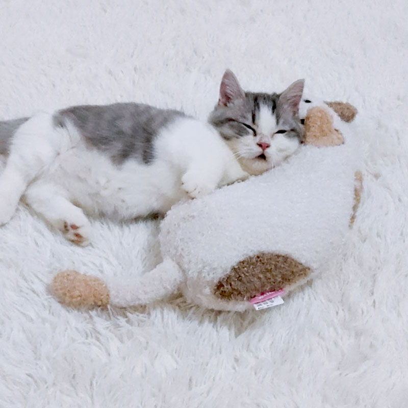 Cat Cat Pooch Deep Sleep Holding Pillow Head Japan Cattyman Stepping On Milk Plush Nibbling Self-Hi Toys-Taobao