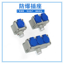 Explosion-proof socket explosion-proof latch explosion-proof five hole socket explosion-proof socket 10A explosion-proof two socket