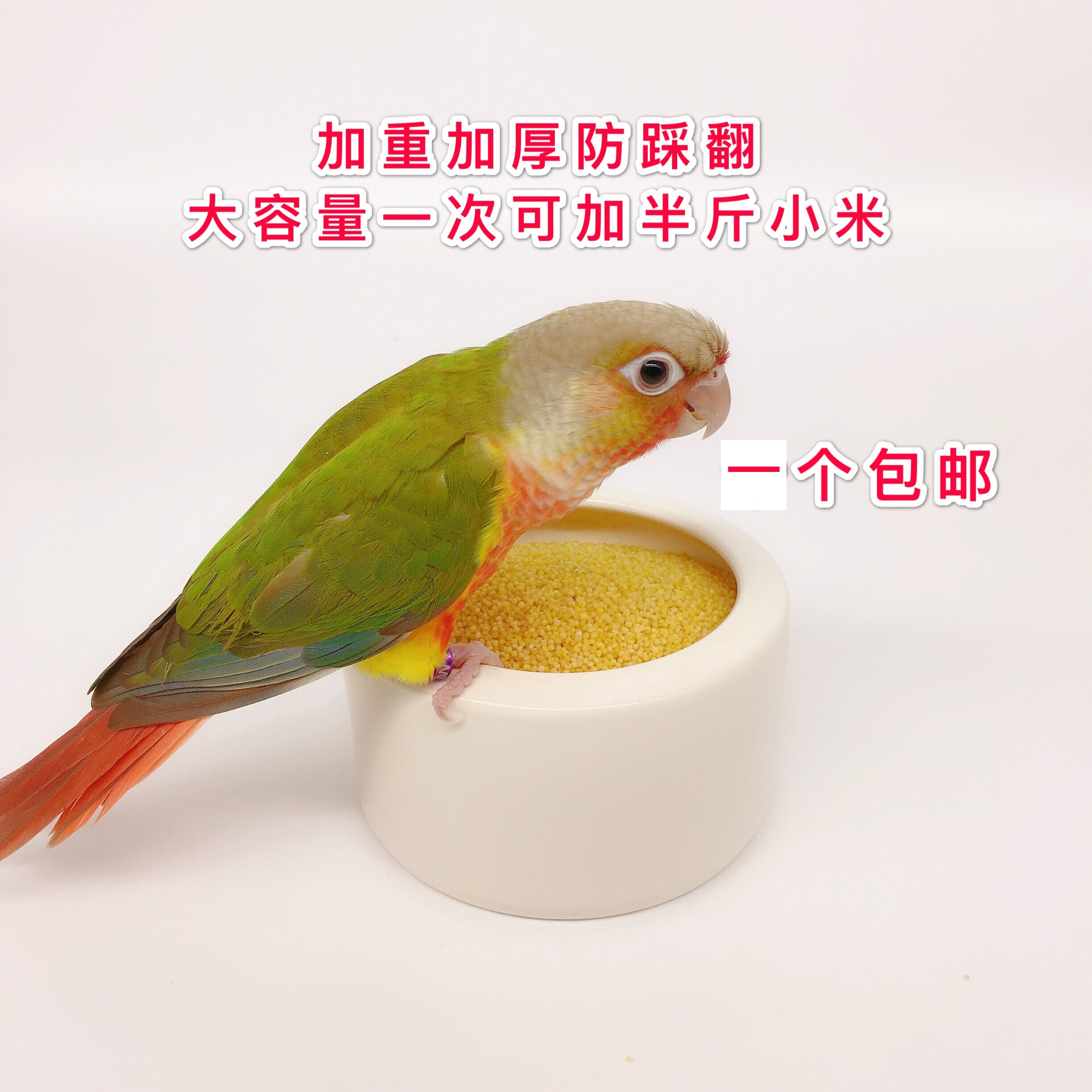 Parrot parrot ceramic food bowl anti-splash anti-splash large food cup feeder bird food bowl pigeon starling sink water tank