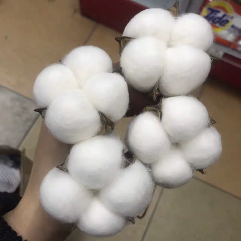 (Xinjiang cotton) natural wood cotton dry flower bouquet cotton photo prop cotton shell natural white cotton flower arrangement