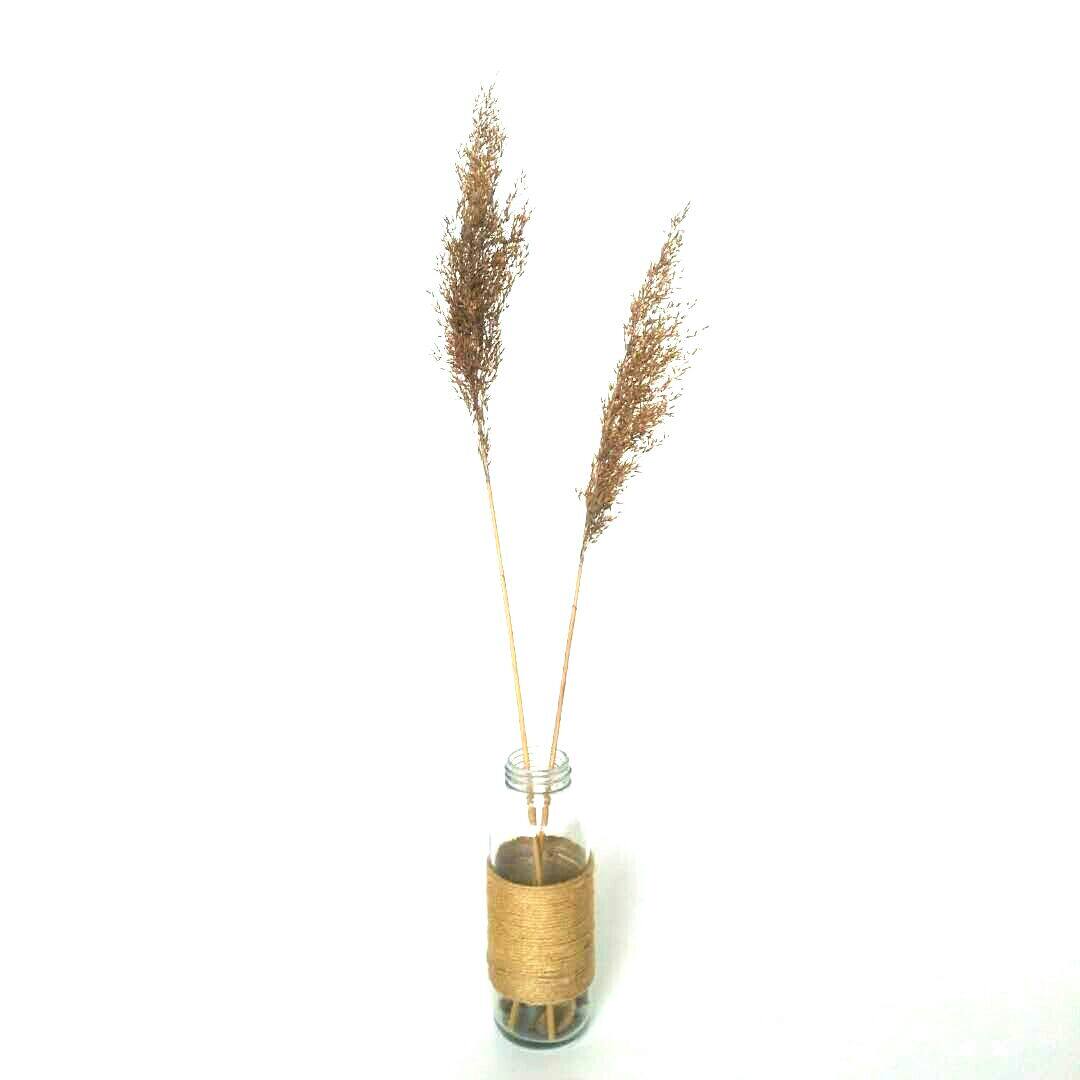 Natural reed dry flower immortal bouquet window decoration decoration reed flower whisk flower wheat ear dry flower wedding props