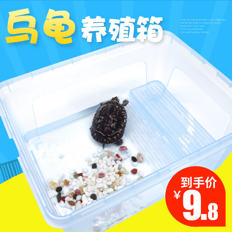 Portable turtle box Turtle tank goldfish tank Aquarium Small turtle tank with climbing platform Feeding turtle tank box High transparent plastic box