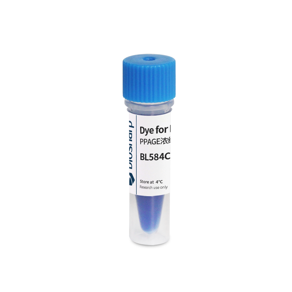 Biosharp BL584C PAGE浓缩胶染料（250&times;，蓝色）