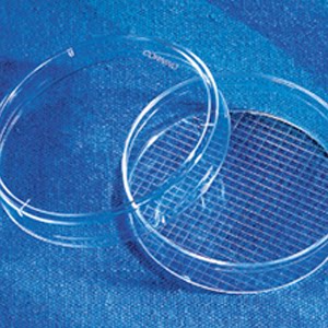 康宁Corning  430196培养皿，60X15MM 带格 TC表面 PS材质 灭菌
