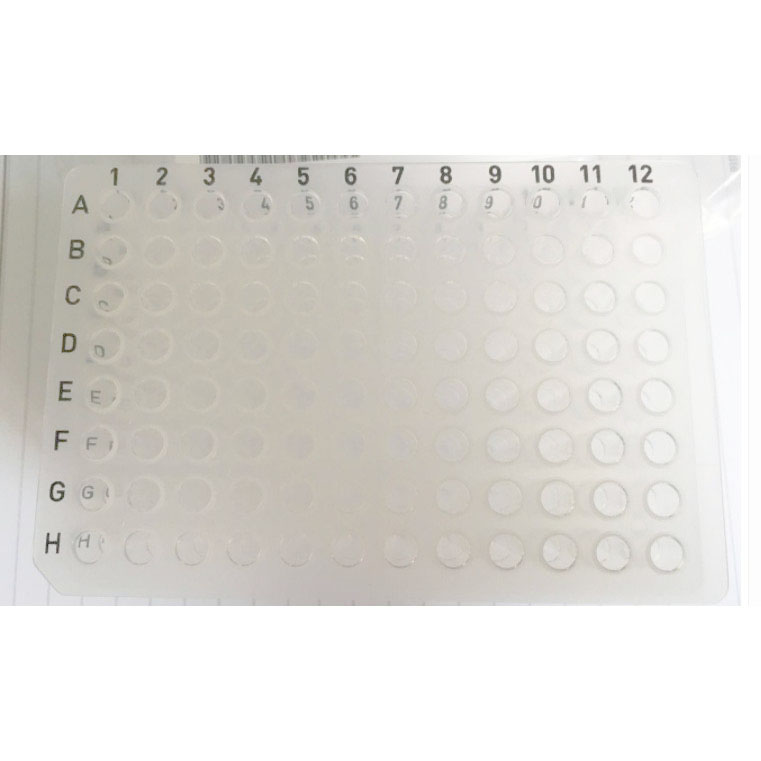 Axygen PCR-96-FLT-C 0.2ml透明无裙边96孔PCR板授权供应商不售假