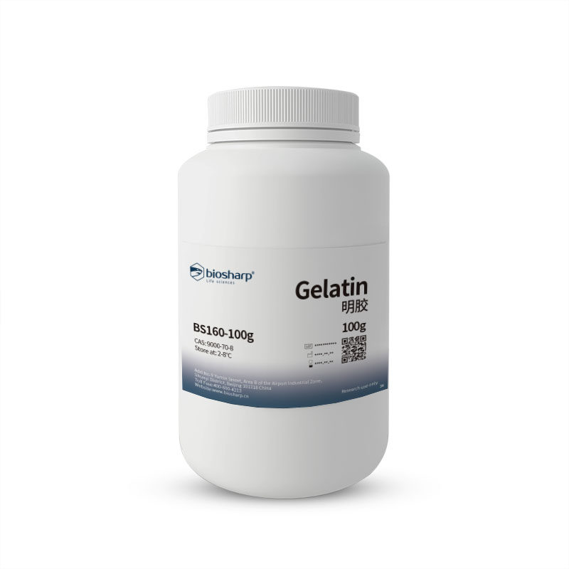 Biosharp BS160-100g/500g 明胶Gelatin