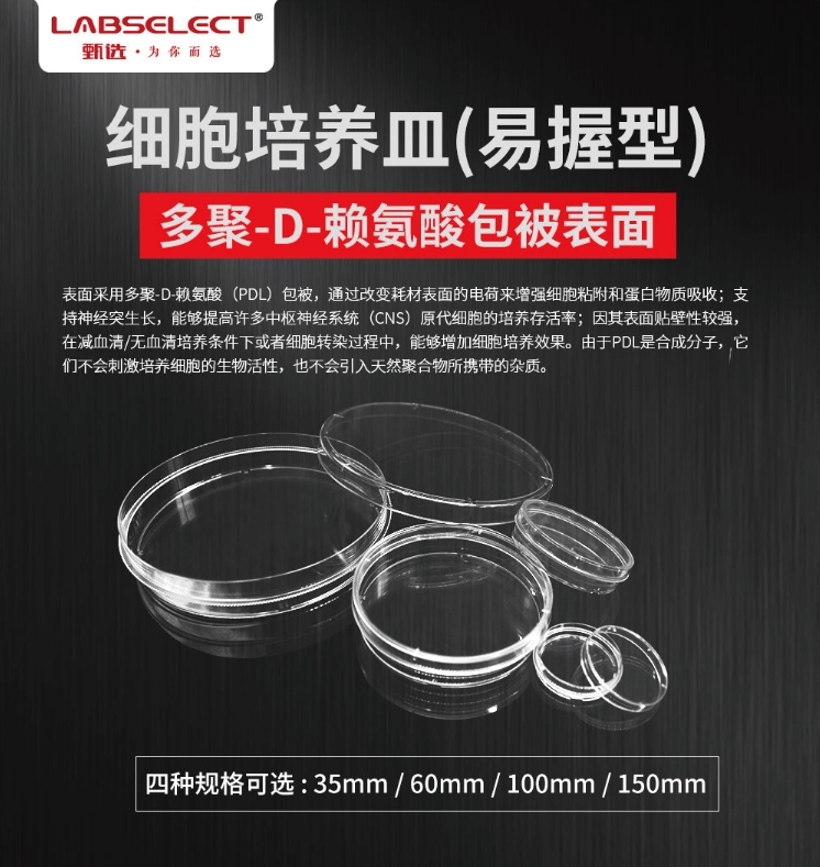 60mm细胞培养皿,多聚-D-赖氨酸包被表面替换BD Biocoat 354468