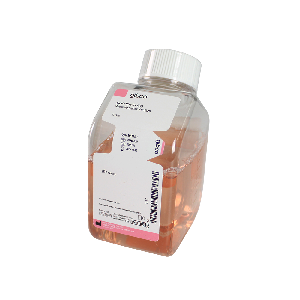 LIFE  Gibco 31985-070 Opti-MEM I Reduced Serum Medium