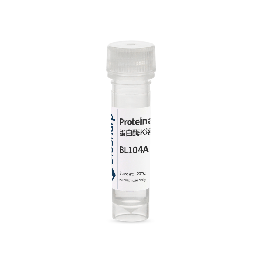 Biosharp 蛋白酶K溶液（20mg/ml）BL104A 1ml  BL104B 5*1ml