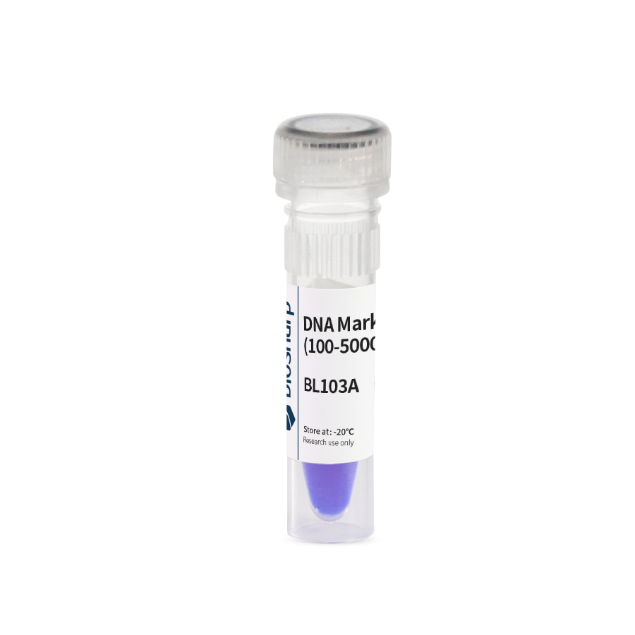Biosharp BL103A DNA Marker III（100-5000bp）