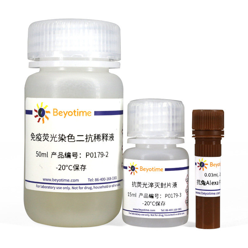 P0179  免疫荧光染色试剂盒-抗兔Alexa Fluor 555