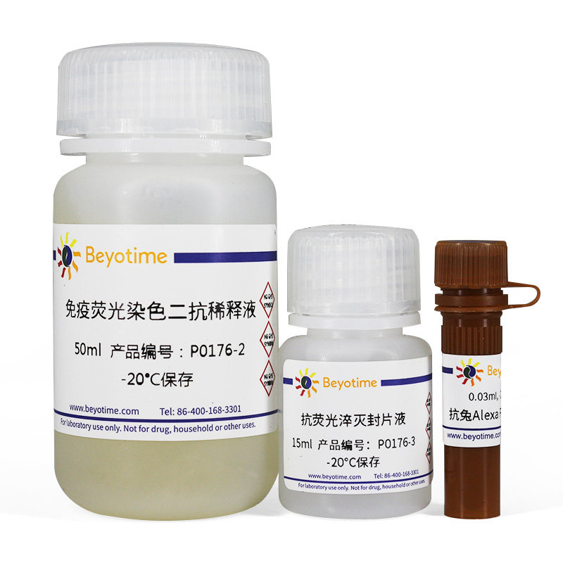 P0176  免疫荧光染色试剂盒-抗兔Alexa Fluor 488