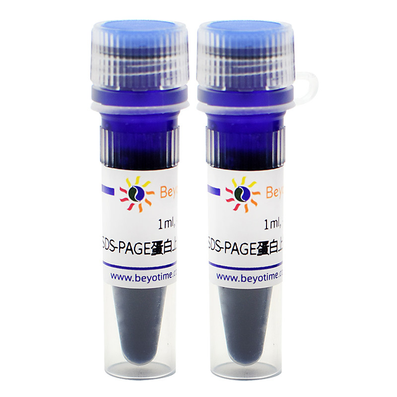P0286-2ml  SDS-PAGE蛋白上样缓冲液(5X, 无气味)
