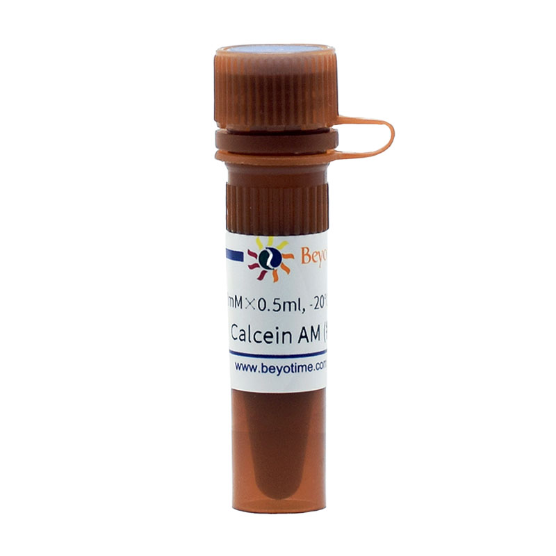 C2012-0.5ml  Calcein AM (钙黄绿素AM)