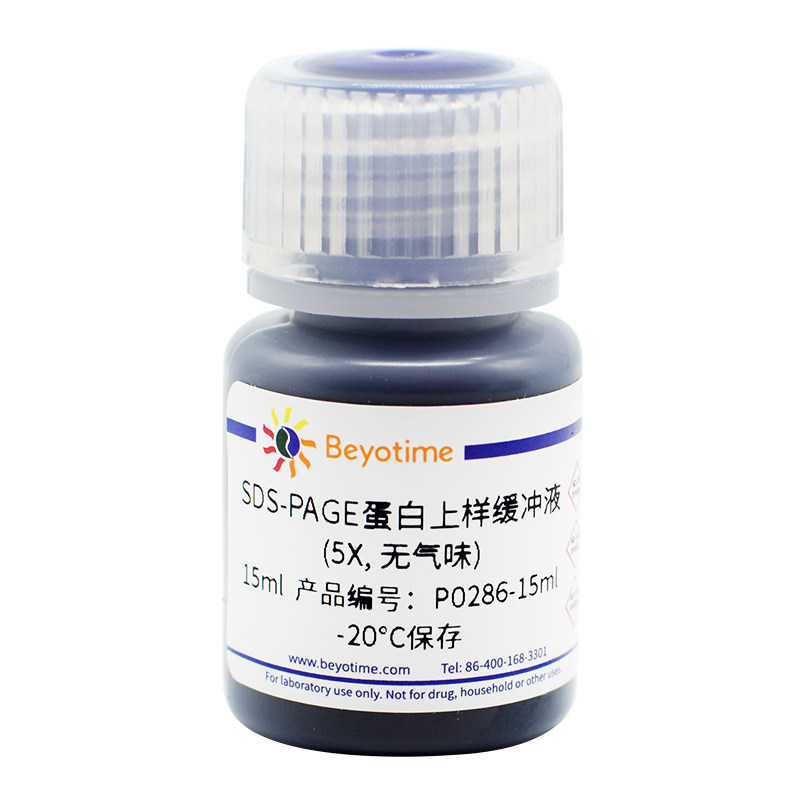 P0286-15ml  SDS-PAGE蛋白上样缓冲液(5X, 无气味)