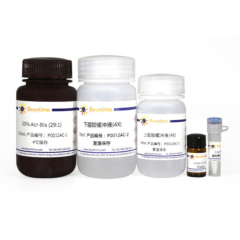 SDS-PAGE凝胶快速配制试剂盒　P0012AC 碧云天生物 Beyotime