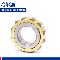 Harbin cylindrical roller bearing RN304 305 306 307 308 309 310 311 312 EM