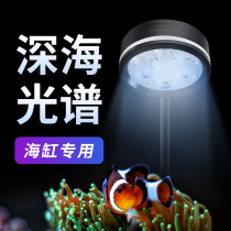 全光谱鱼缸海缸灯led防水水草小丑鱼珊瑚生长专用造景透镜三基色