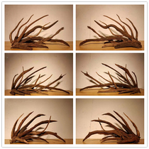 South American tank landscaping South American tank sunken wood landscaping sunken wood South American sunken wood landscaping fish tank landscaping fish tank sunken wood multi-branch