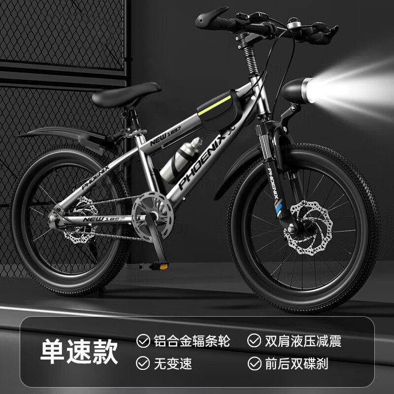 Велосипед детский Phoenix GT 20" серебристый, спицевые колеса, одна скорость