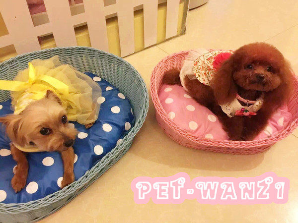 Self-retention ~ OnlyPet Summer Cool 2-use Type eco-friendly antibacterial resin Nest Dog Antimicrobial and Nest Dog Nest