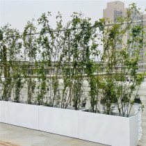 Rectangular cement flowerpots Green plant Large number Living room floor Ceiling Flower Beds Black Outdoor flower Box Flower groove Vegetable Interior