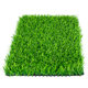 Simulated lawn carpet ປອມ balcony ສີຂຽວປອມ paving ນອກໂຮງຮຽນອະນຸບານ plastic insulation ປອມຕົບແຕ່ງ turf