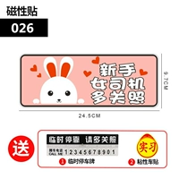 Магнитный мультипликационный патч (026) купить один получить два и два