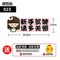 Магнитный мультипликационный патч (023) купить один получить два и два