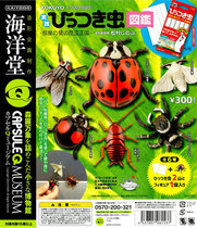 Ocean Hall Twisting Egg Capsule Q Room Wall Insect Kingdom illustrated lizard simulation model