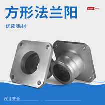 Method Lanyang end 2 inch 2 5 inch 3 inch 4 inch F type flange male tanker tank car square ball valve conversion discharge port