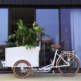 Грузовой велосипед скандинавской доставки велосипед