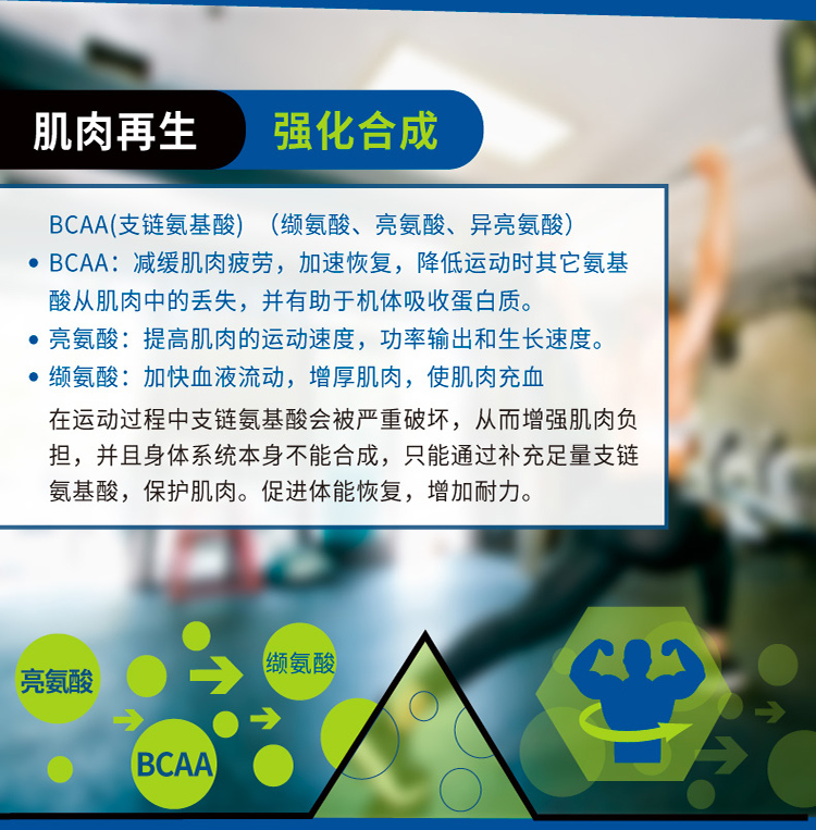 Orthomol 奥适宝sport protein增肌蛋白粉