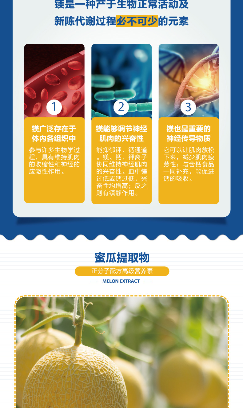 Orthomol 奥适宝Magnesium Plus镁胶囊
