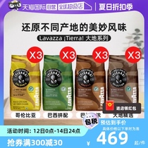 (Self-operated) LAVAZZA Italian original imported iTierra series coffee beans 3 packs