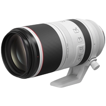 (Self-operated) Canon RF 100-500mm f 4 5-7 1 L IS USM telephoto mirrorless camera lens