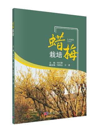 Подлинная бесплатная доставка, Song Singrong Wax Plum Обзор типа восковой культивирования истории