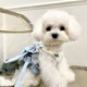 Dog Japanese three-use traction rope bow half vest style outdoor chest and back rope Bichon Teddy pet cat