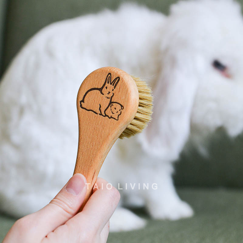 Pet Rabbit Hair Brush Redecker Cute Rabbit Hair Comb Pet Massage Smooth Hair to Hair Balls Comb mane German system