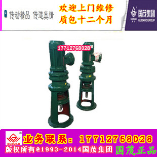 Jiangsu Changzhou Guomao Speed Reducer Group National Lush Cycloidal Needle Wheel Reducer BLD09-11-0 0 37